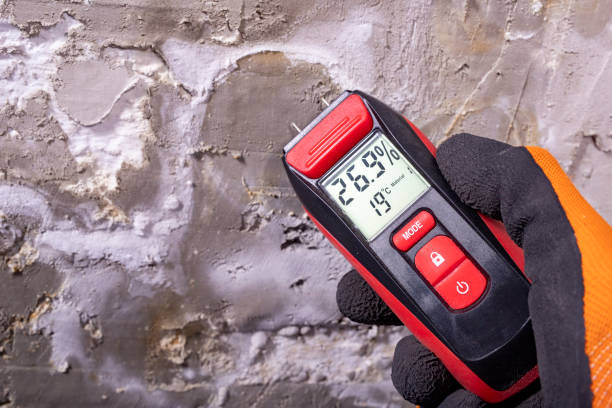 Best Attic Mold Remediation in Fort Recovery, OH
