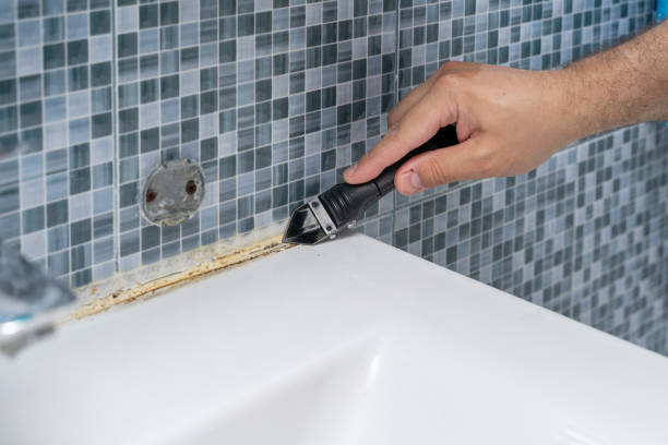 Best DIY Mold Remediation Support Services in Fort Recovery, OH