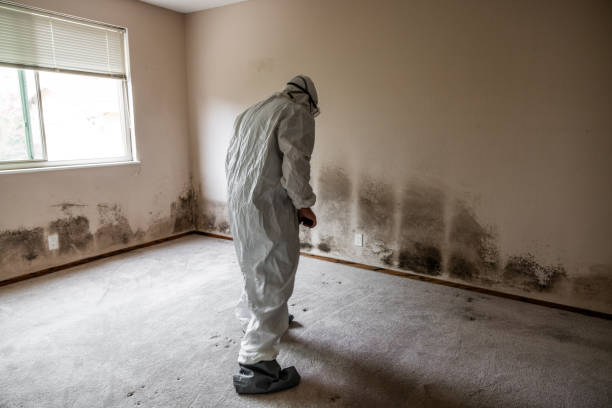 Best Mold Testing and Inspection Services in Fort Recovery, OH